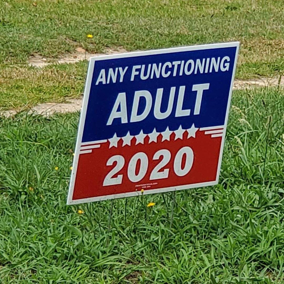 A yard sign "Any Functioning Adult 2020"