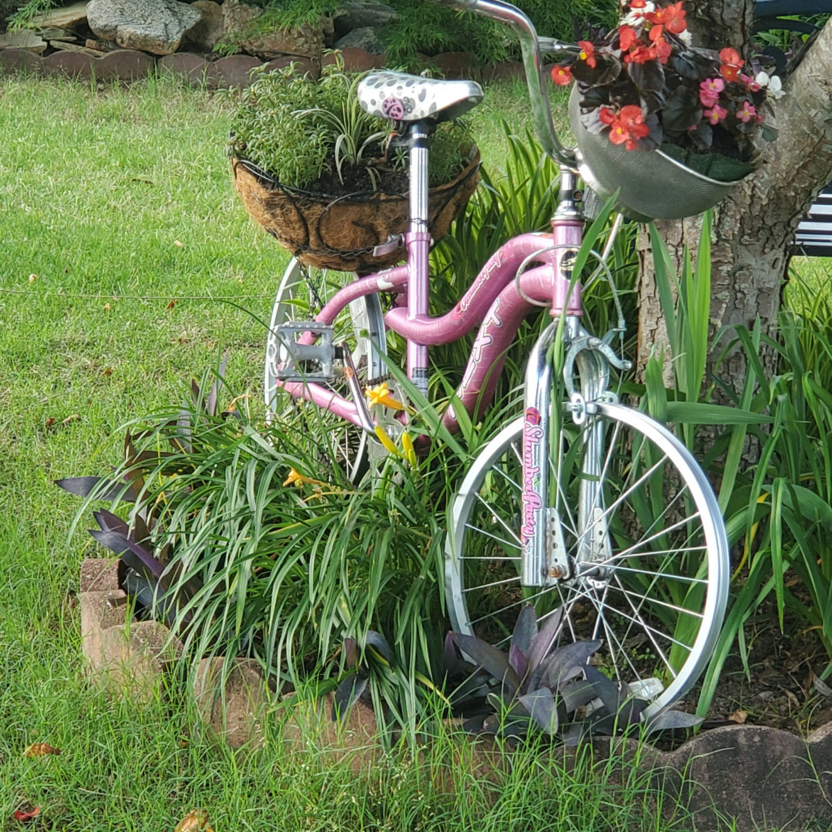 bicycle leaning against a tree with a basket of flowers on the handlebars